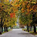 Centrally Located , Brand New, Cozy Apartment With Parking