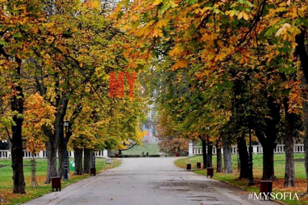 Centrally Located , Brand New, Cozy With Parking Apartament *